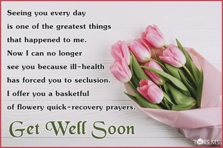 Get Well Soon Messages, Wishes, Quotes, and Pictures - Webprecis